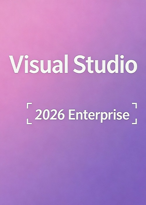 MS Visual Studio 2026 Enterprise CD Key Global